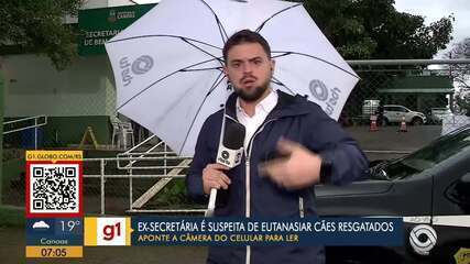 Ex-secretária é indiciada por eutanásias de animais sem critério