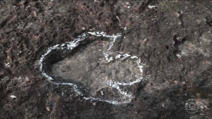 Estudo revela pegadas de dinossauros na Amazônia