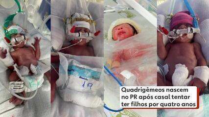 Quadrigêmeos nascem no Paraná após quatro anos de tentativas