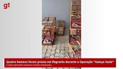 Apreensão de 212 aves em Joinville