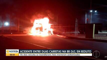 Acidente trágico resulta na morte de bois em Reduto