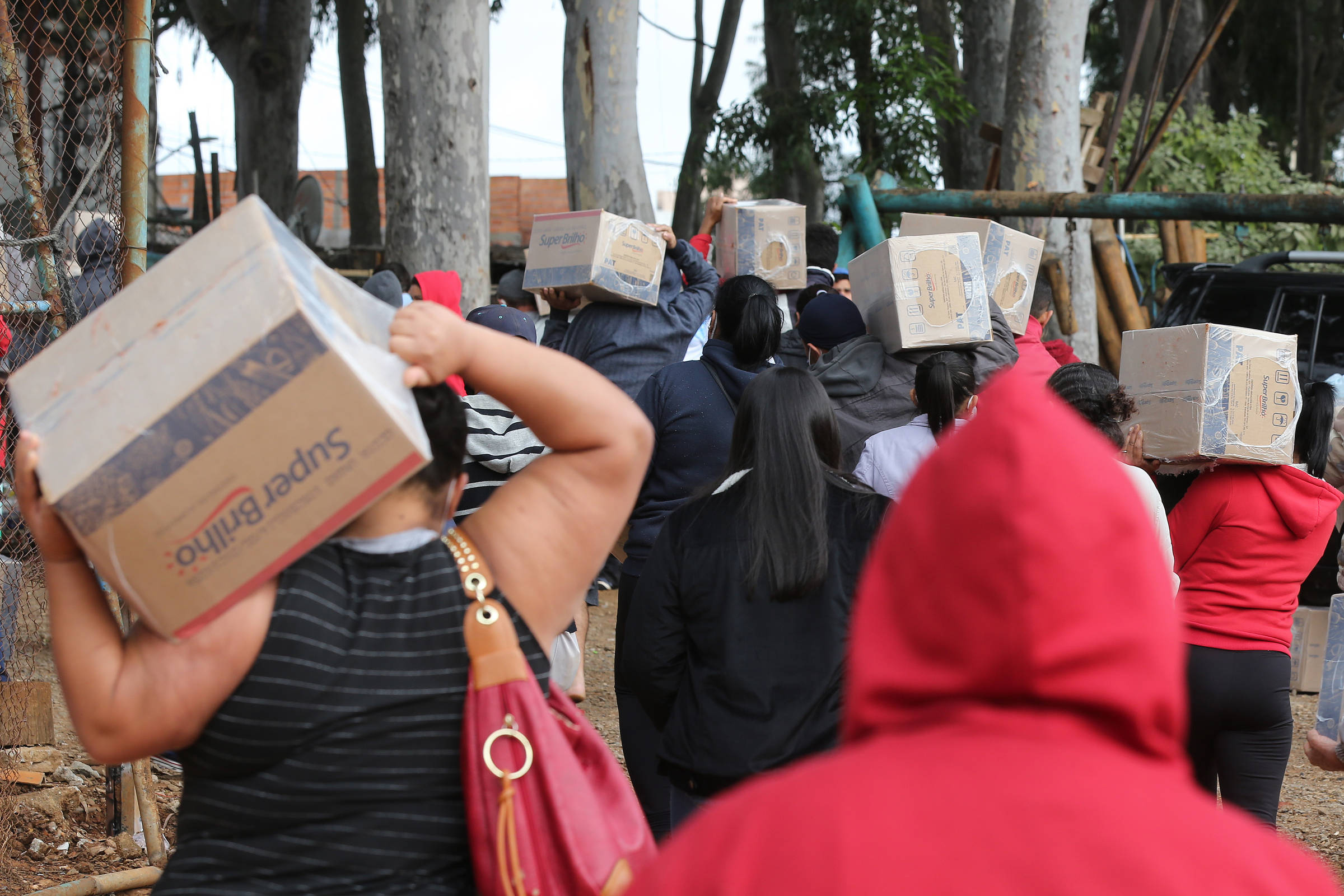 Distribuição de cestas básicas é prioridade para acesso a alimentos