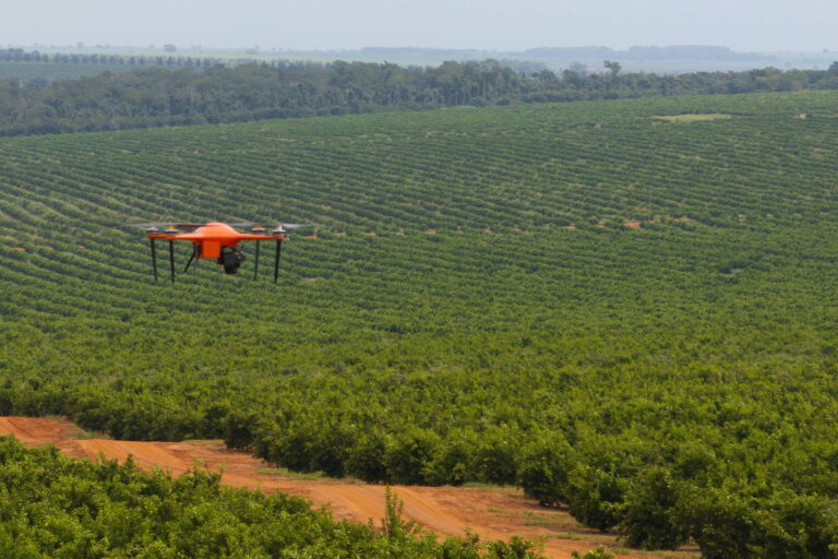 Crescem exportações de suco de laranja para os EUA