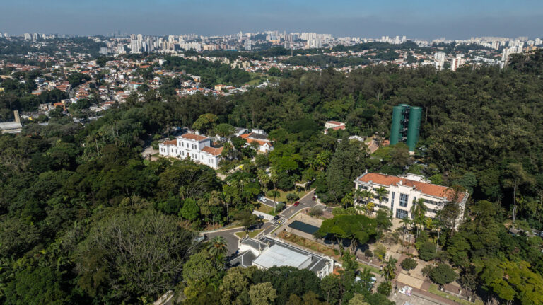 Floresta urbana: um apelo pela preservação
