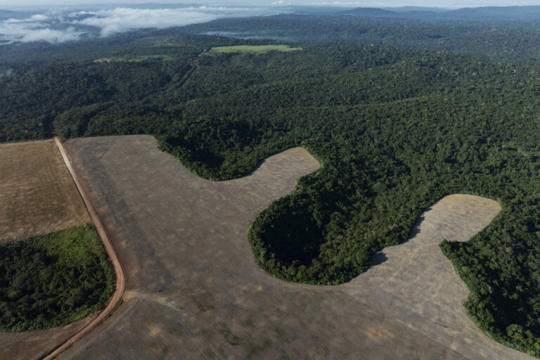 Emendas buscam reverter vetos à lei do licenciamento ambiental