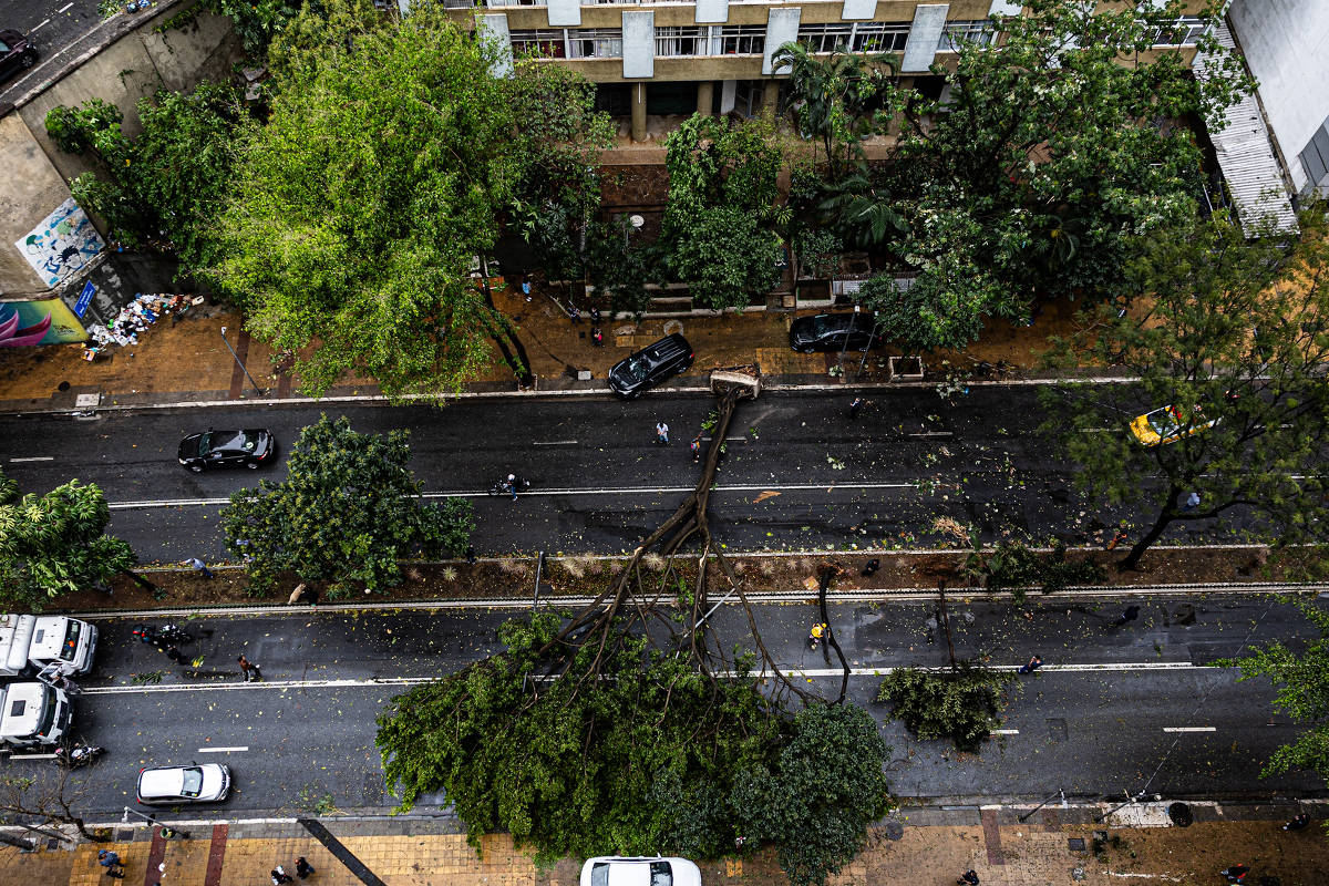 Defesa Civil alerta para tempestades severas em SP entre 7 e 8 de novembro