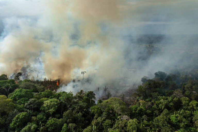 Redução do desmatamento impacta positivamente a violência na Amazônia