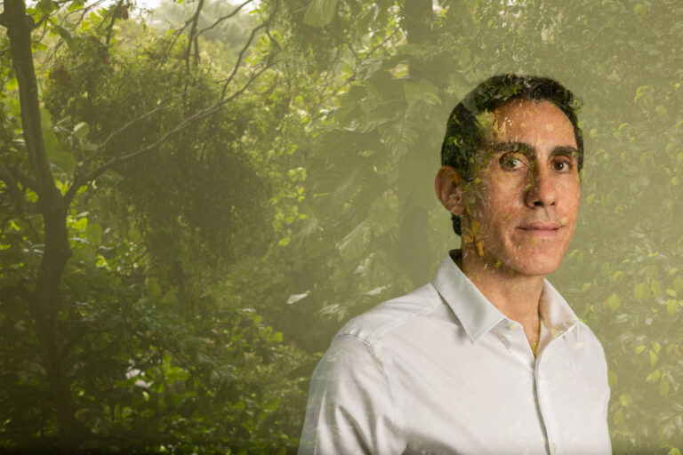 Reflorestamento supera lucratividade da pecuária e atrai novos investidores