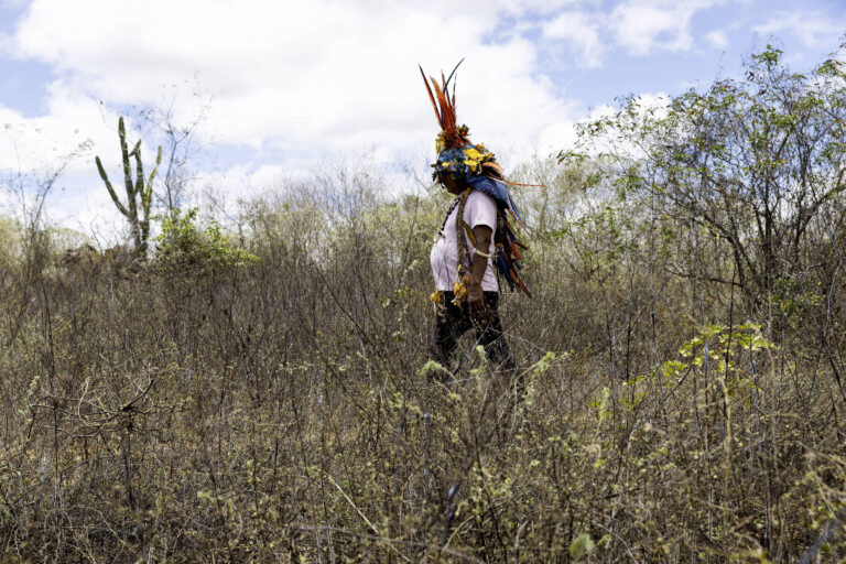 Semana do clima da Caatinga destaca adaptações no semiárido