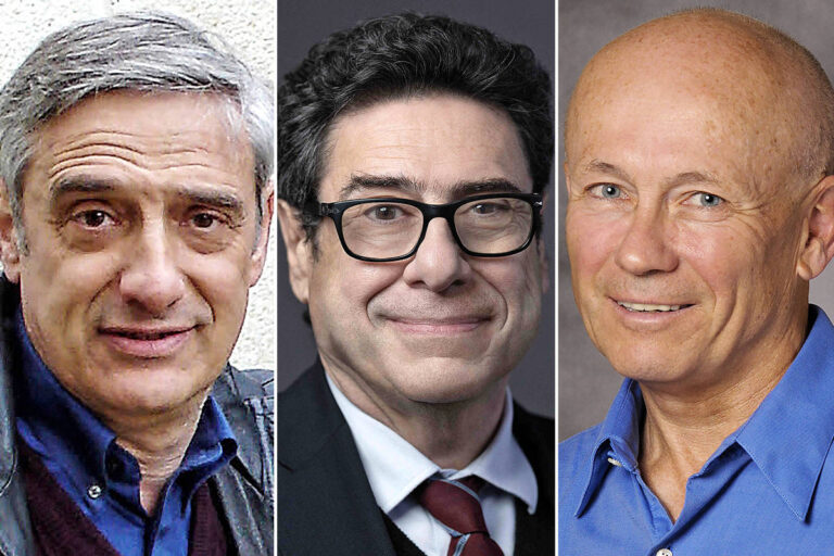 Impactos do Nobel de Economia de 2025 no Brasil