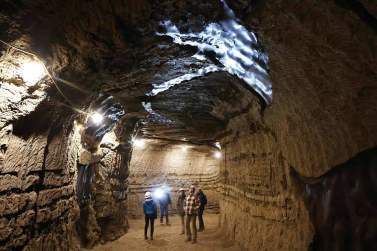 Cientistas reativam micróbios congelados há 40 mil anos