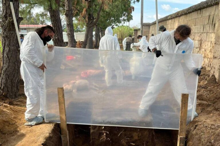 O uso de porcos e insetos na busca por desaparecidos no México