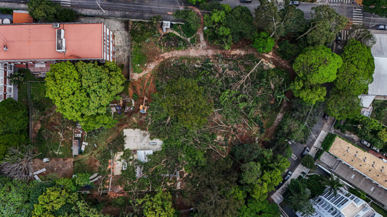 Atrito entre moradores e construtora marca remoção de árvores na Lapa