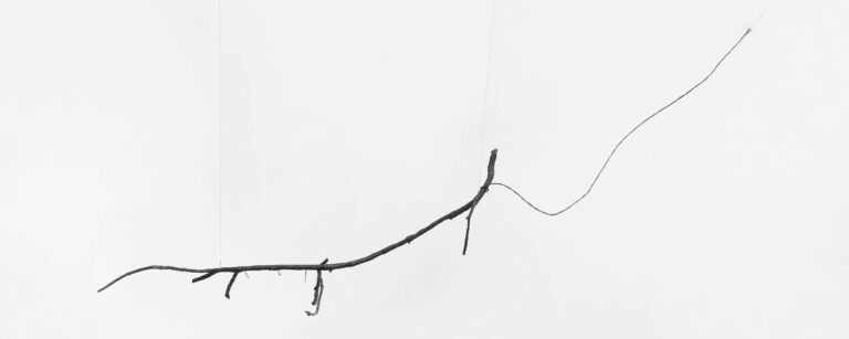 A exposição de Adriano Costa e o caos criativo