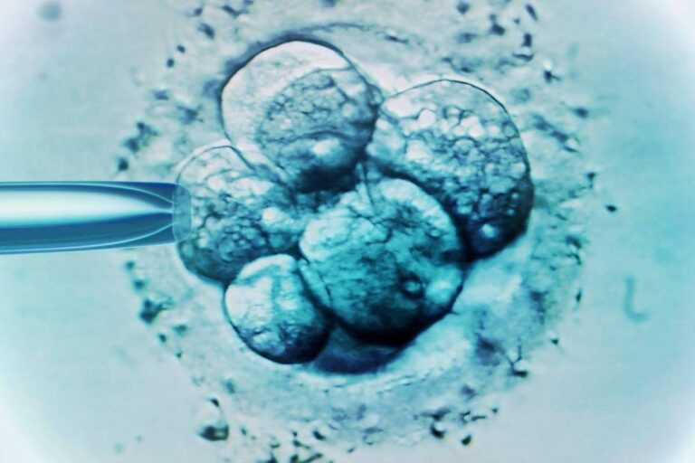 Bebê nasce de embrião congelado por 30 anos e estabelece novo recorde