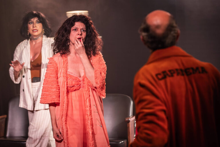 A Palma: Gilda Nomacce e o dilema da artista em crise