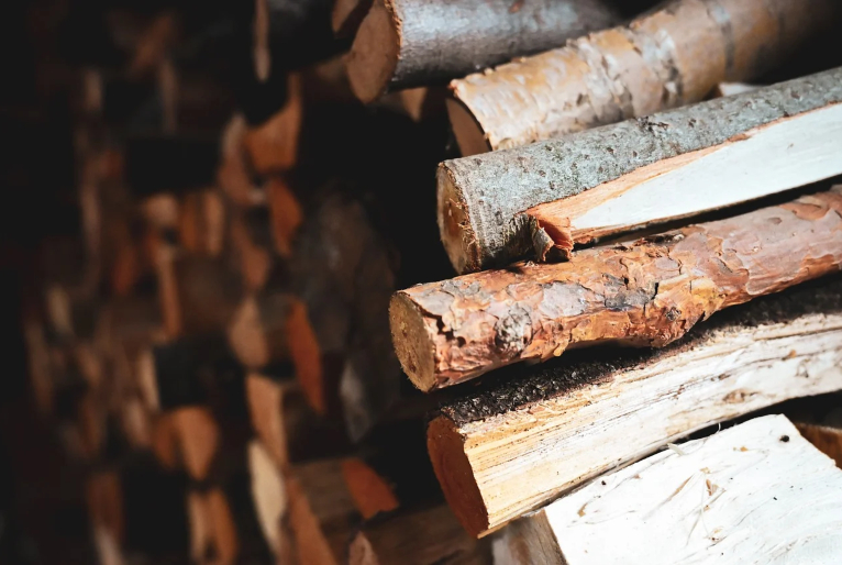 Crescimento das florestas plantadas na Amazônia garante produção de MDF