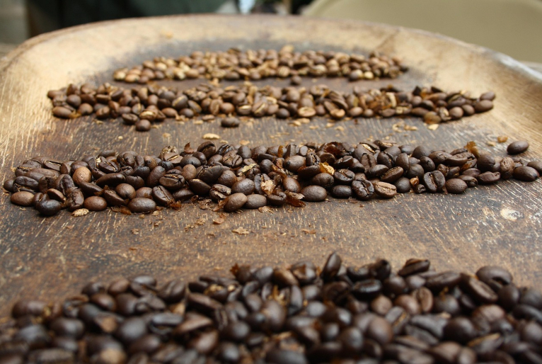 Tecnologia e inovação elevam qualidade do café Conilon no Espírito Santo