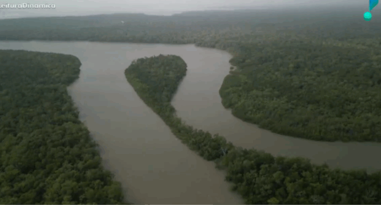 Brasil avança no combate ao desmatamento antes da COP30