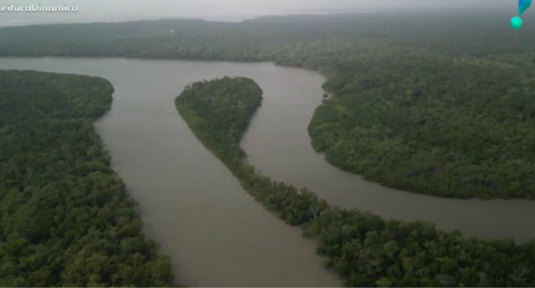 Brasil avança no combate ao desmatamento antes da COP30