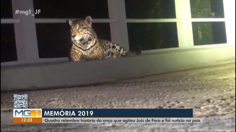 Descubra o Jardim Botânico da UFJF em Juiz de Fora