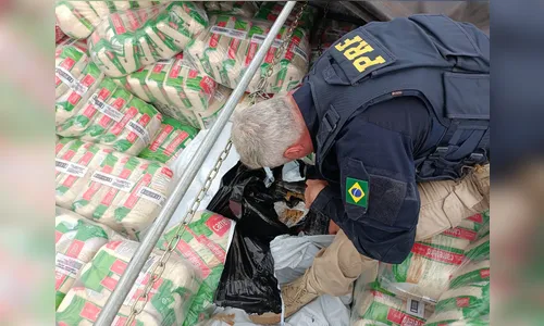 Polícia Rodoviária Federal apreende 3,1 toneladas de maconha em Maringá