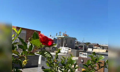 Atualização dos falecimentos em Apucarana neste sábado