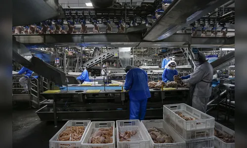 Paraná exclui carnes de aves cozidas da substituição tributária