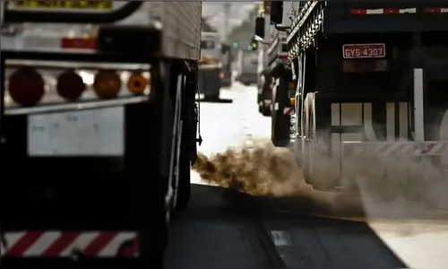 Brasil registra queda de 16,7% nas emissões de gases do efeito estufa em 2024