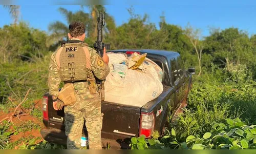 Polícia Rodoviária apreende caminhonete com agrotóxicos contrabandeados