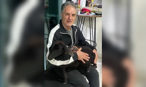 Idoso de 71 anos morre após acidente em Apucarana
