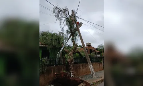 Temporal causa destruição em Marilândia do Sul