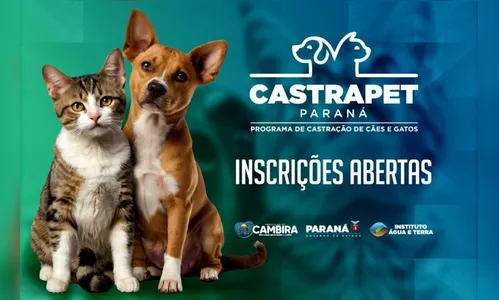 Inscrições abertas para castração gratuita de cães e gatos em Cambira