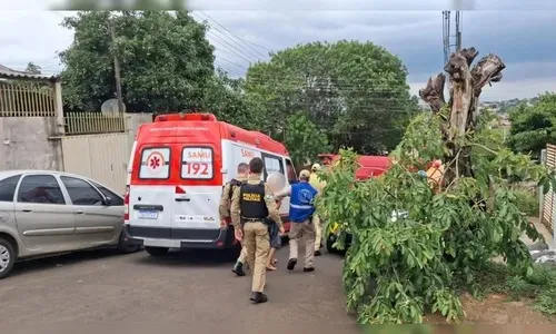 Jovem de Apucarana viveu violência e abusos antes de ataque