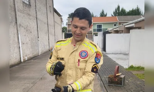 Serpente é encontrada em cama de criança em condomínio no Paraná