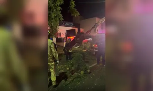 Caminhão colide com árvore em Apucarana e provoca operação de emergência