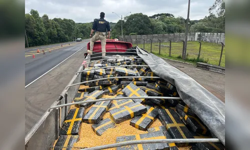Polícia Rodoviária Federal apreende 2,5 toneladas de maconha no Paraná