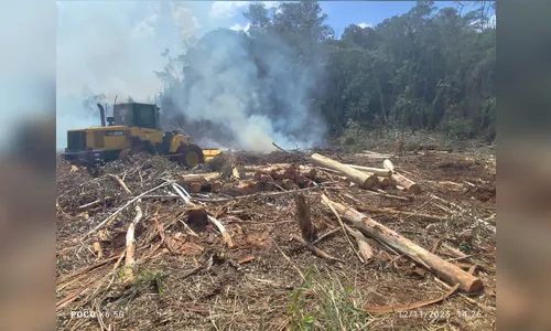Multa de R$ 85 mil por incêndio em área rural de Arapongas