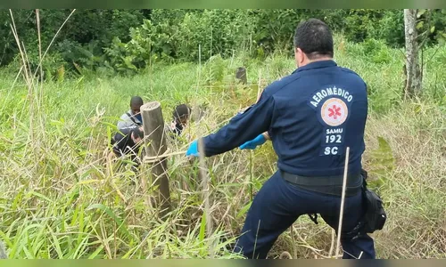 Morte de trabalhador após picada de inseto em SC gera comoção