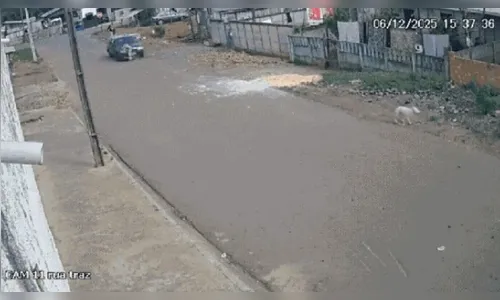Motorista embriagado arrasta criança de 9 anos após atropelamento