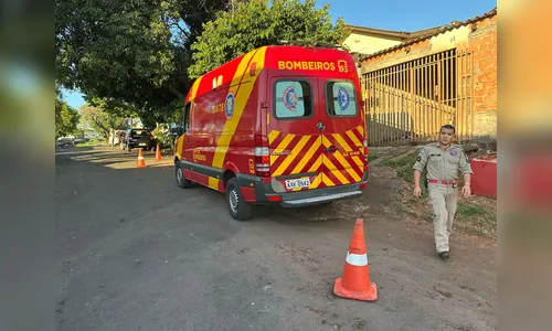 Criança de 1 ano se machuca após ataque de cachorro em Apucarana