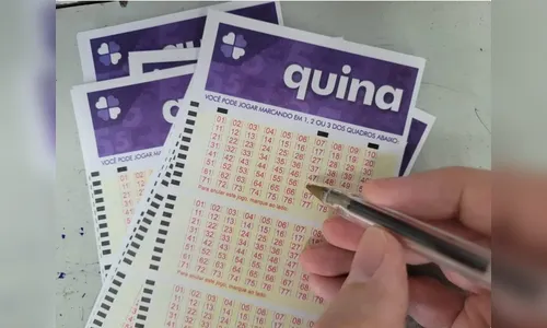 Resultado do concurso 6890 da Quina neste sábado (29)