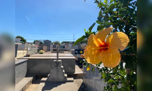Falecimentos em Apucarana neste domingo (30)
