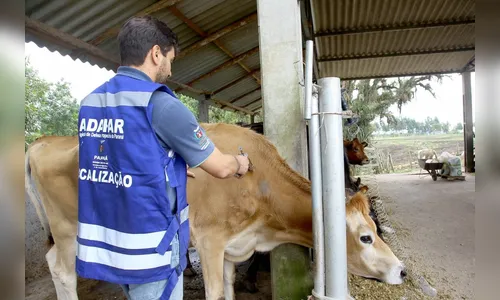 Raiva no campo: Adapar intensifica vacinação e vigilância no Paraná