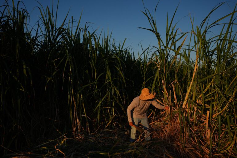 Pesquisadores mapeiam calor extremo da Califórnia para proteger trabalhadores