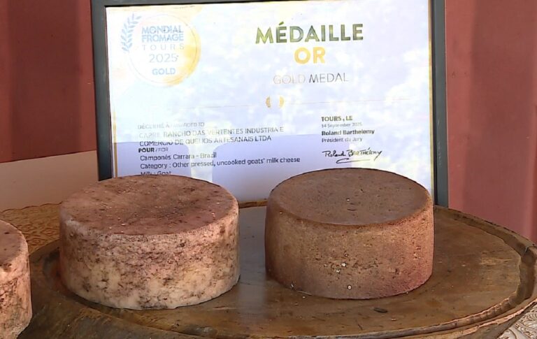 Queijo mineiro com açaí e beterraba conquista ouro em concurso na França