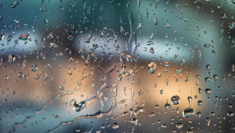 Clima em Rio Negro: previsão para terça-feira (30/09)