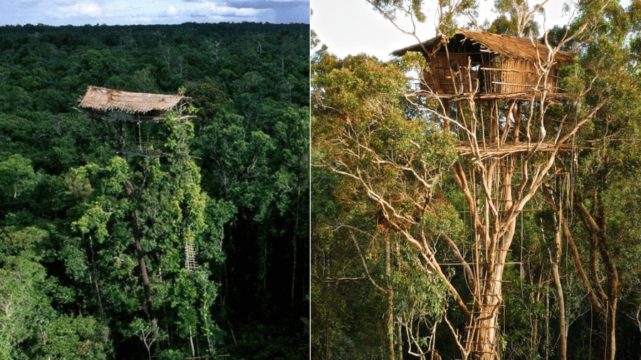 A vida nas alturas: comunidade Korowai na Indonésia