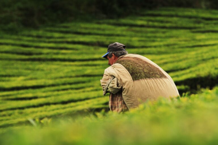 Brasil e México firmam acordo para cooperação agropecuária