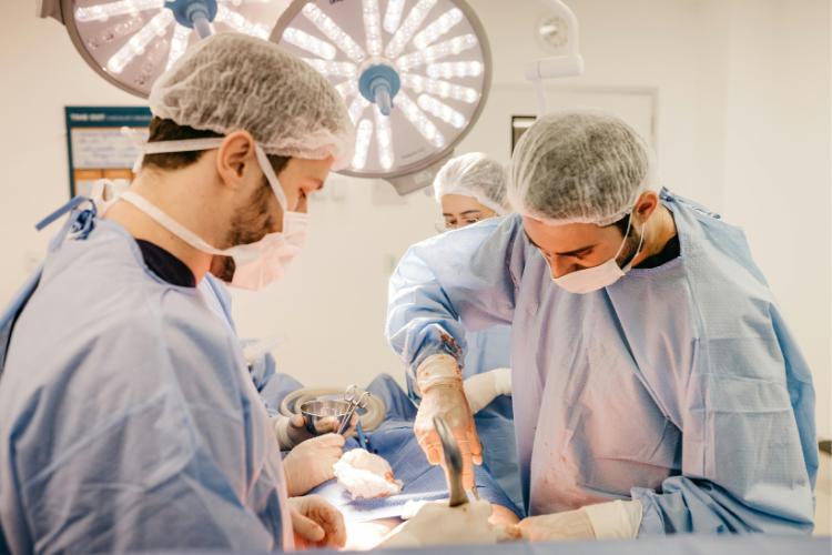 Fila de transplante de órgãos: critérios e funcionamento no Brasil